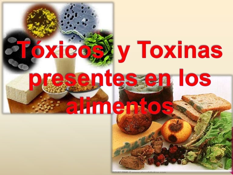 Toxinas presentes en los alimentos. revisada.