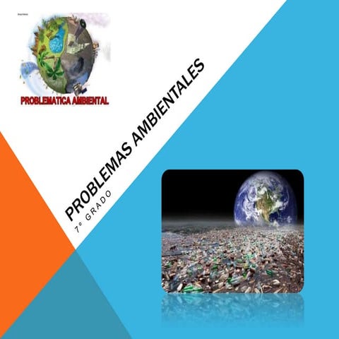 7º GRADO PROBLEMAS AMBIENTALES