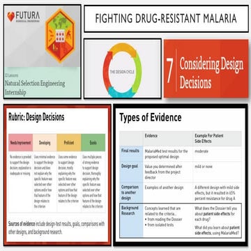 Considering Design Decisions