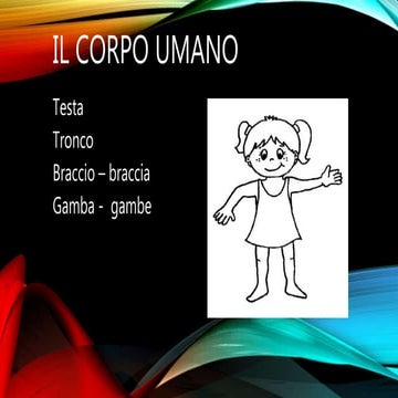 Partes del cuerpo humano en italiano por Dayana López. | PPTX