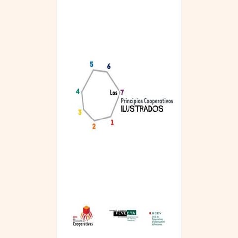 7 principios