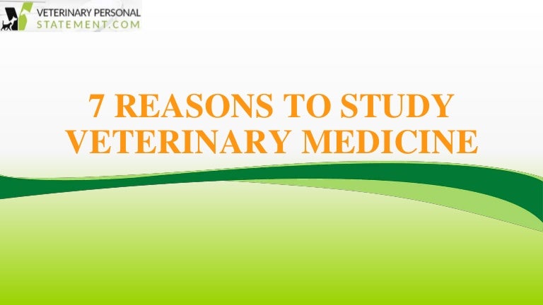 veterinary medicine personal statement