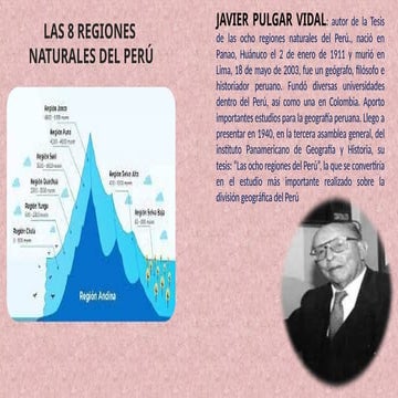7) Regiones naturales del Perú para determinar la verdera situacion de nuestr...