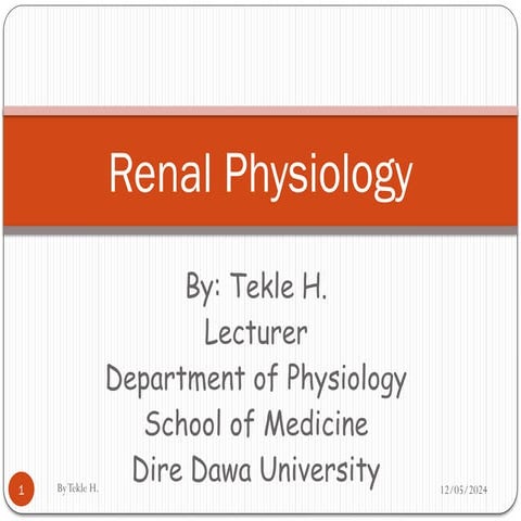 Renal system physiology power point.pptx