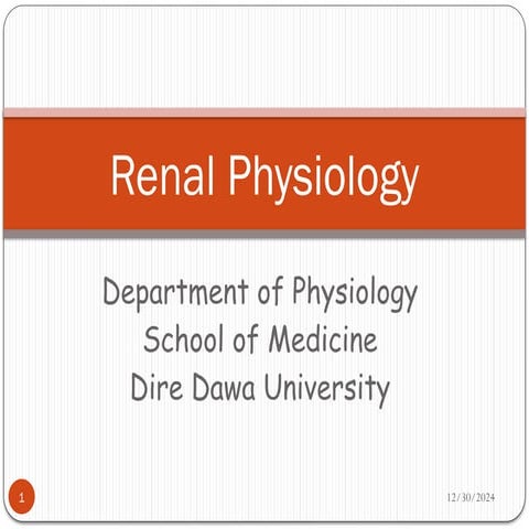 Renal System Medical Physiology power point.pptx