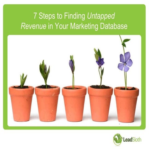 7 Steps to Finding Untapped Revenue in Your Marketing Database