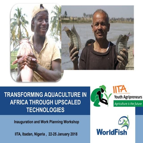 Matemba Value Addition Brochure Publication | PDF