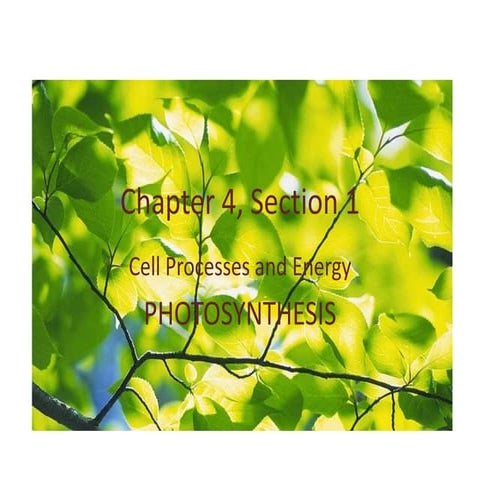 7th.ch4.sect1.photosynthesis | PPTX