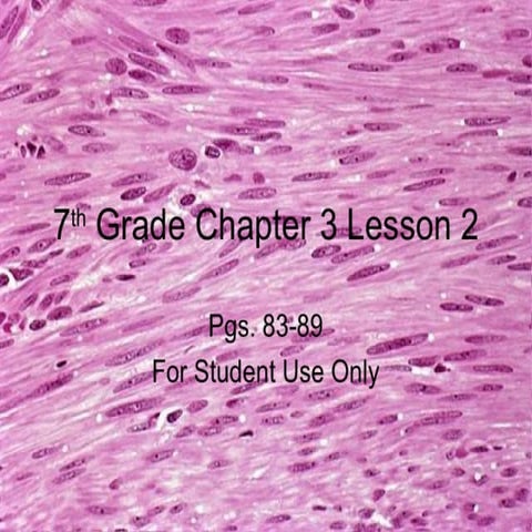 7th Grade Chapter 3 Lesson 2 | PPT
