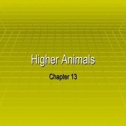 Chapter 13- higher animals