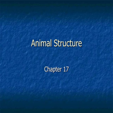 Chapter 17-human structure | PPT | Bone and Joint Conditions | Diseases ...