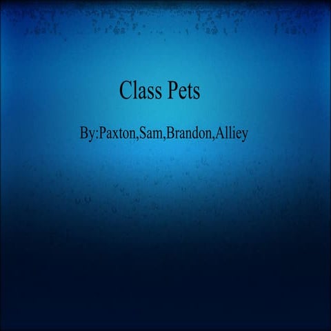 7th Alliey, Brandon, Paxton, Sam