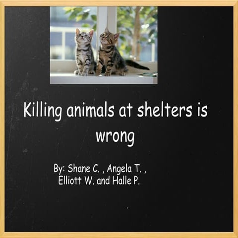 7th Angela, Elliott, Halle, Shane