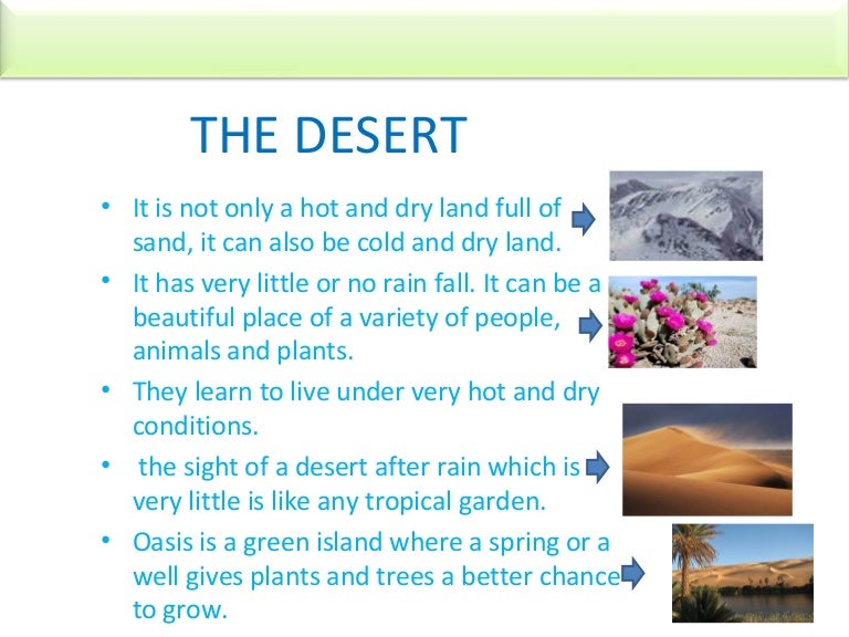 7_The Desert