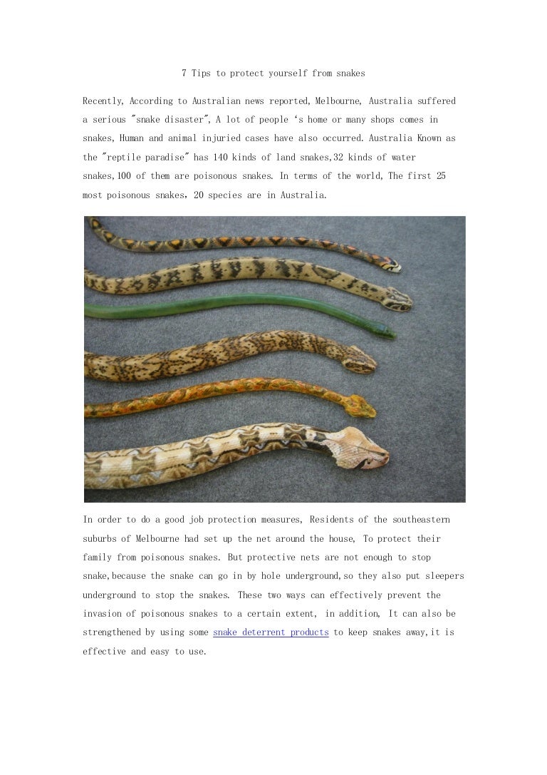 7 tips to protect yourself from snakes