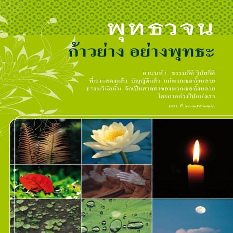 7 ก้าวย่างอย่างพุทธะ walklikebuddha