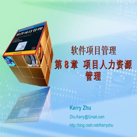 第8章 项目人力资源管理 1