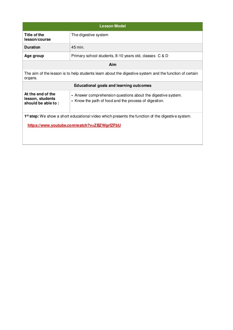 Digestive system essay pdf picture