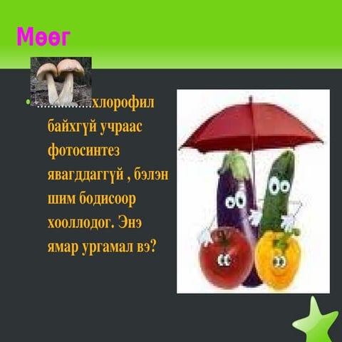 мөөг 8 анги | PPT
