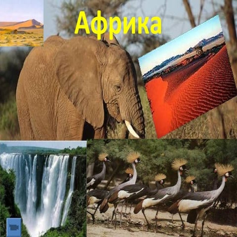 презентация к уроку 8 класс