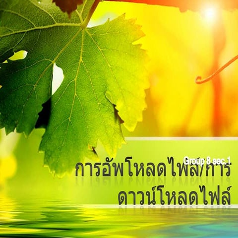 บทที่ 8