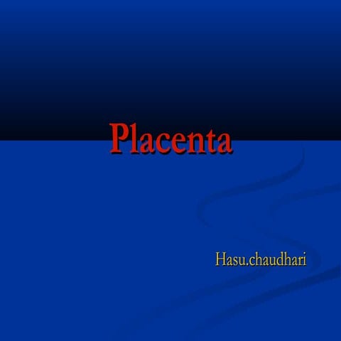 8.placenta