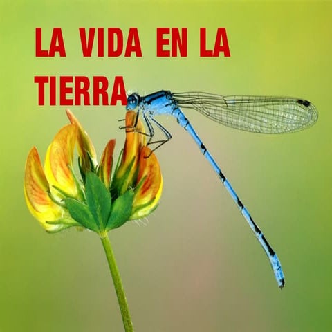8. La vida en la Tierra