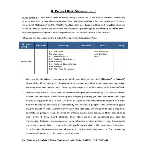 8. project risk management