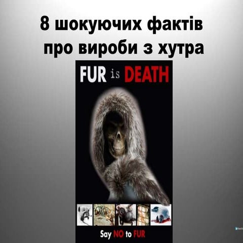 8 шокуючих фактів про вироби з хутра