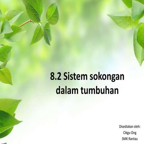 8.2 sistem sokongan dalam tumbuhan
