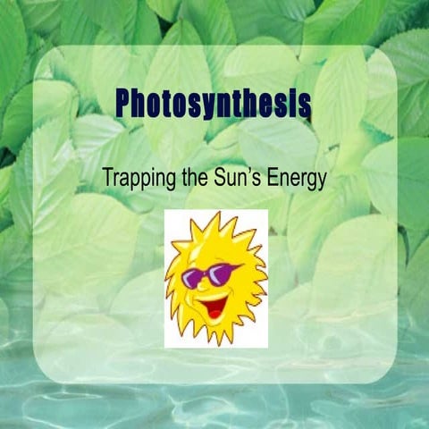 8.2 Photosynthesis 2014