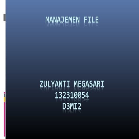 Zulyanti Megasari -  Manajemen File