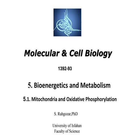 8. mitochondria - cell biology