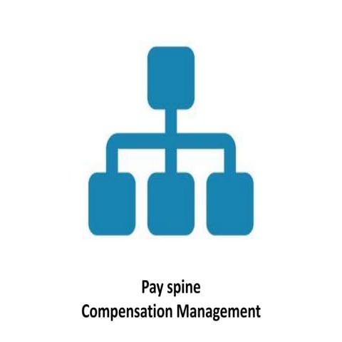 Pay spine -  compensation management - Manu Melwin Joy