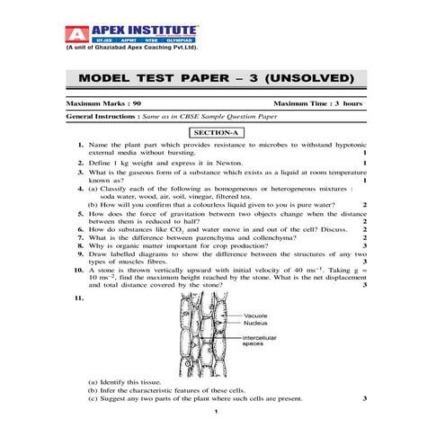 Summative Assessment Paper-6