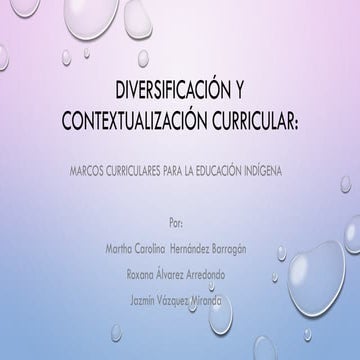 8. diversificación y contextualización curricular 
