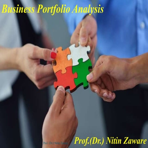 Business Portfolio Analysis