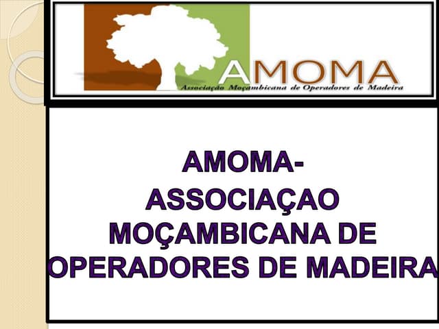 Private sector view of the changes in Mozambique, on the legal regime for exp...