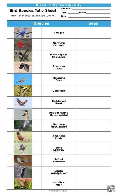 Longer name Bird Species Tally Sheet for students for Birds in My ...