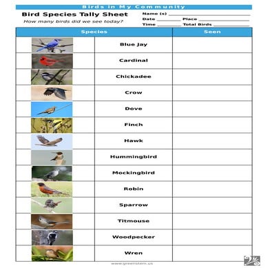 Tally Sheet for classroom single name of birds for Birds in My Community