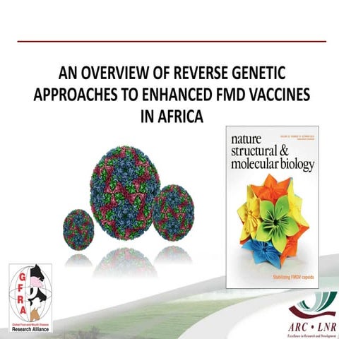 An overview of reverse genetic approaches to enhanced FMD vaccines in Africa ...