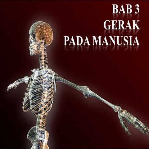 8 2. Gerak pada Manusia