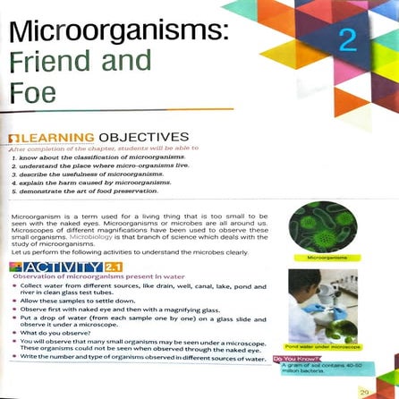 Microorganisms: Friend and Foe