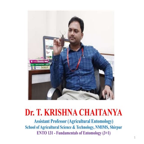 Types of insect mouthparts