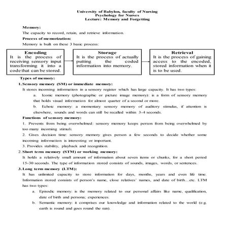 memory and forgetting