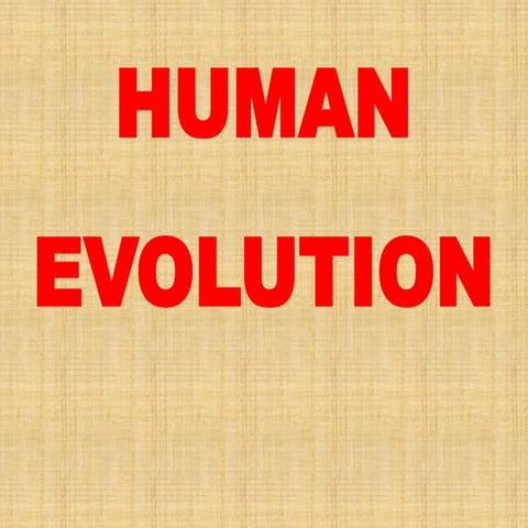 Human Evolution