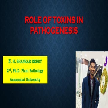 Role of toxins in pathogenesis 