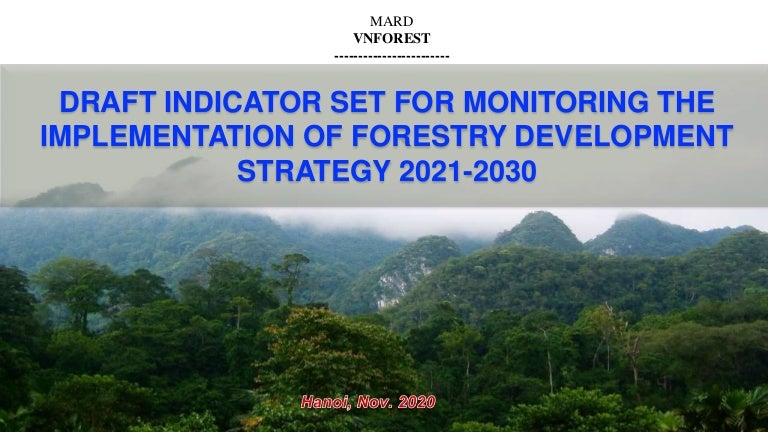 thumbnail of  Draft indicator set for monitoring the implementation of forestry development strategy 2021-2030