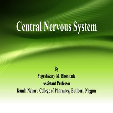 8. Central Nervous System (Human Anatomy and Physiology)