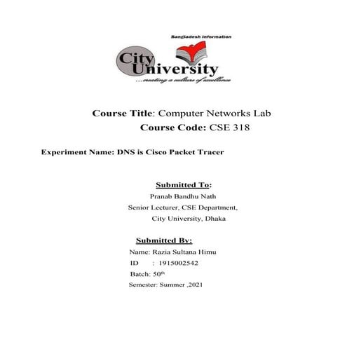 Lab Final Project | PDF